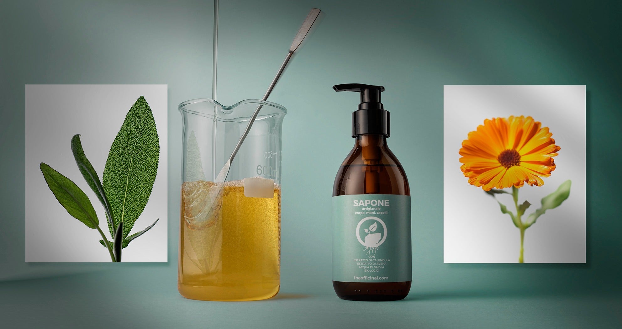 The Officinal – A Wild Lab - Fashion Loft