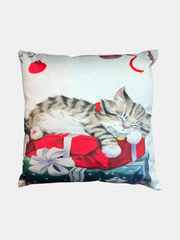 Cuscino Gatto sui Regali