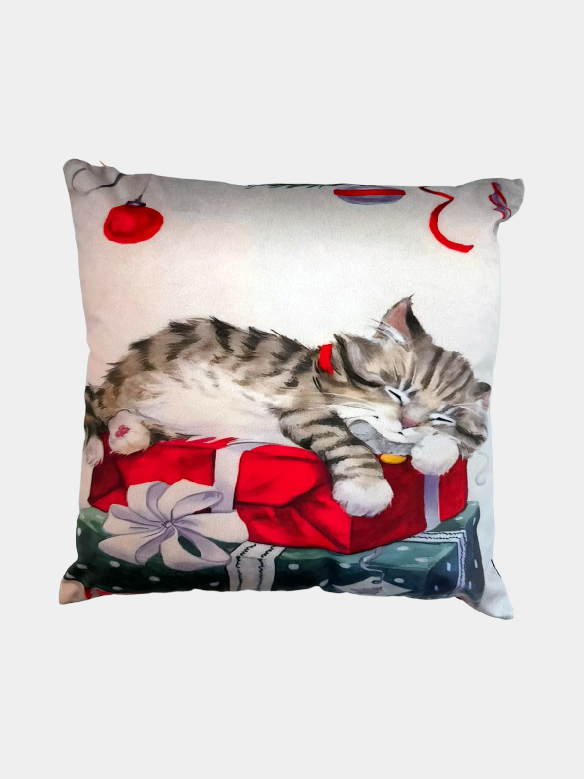 Cuscino Gatto sui Regali