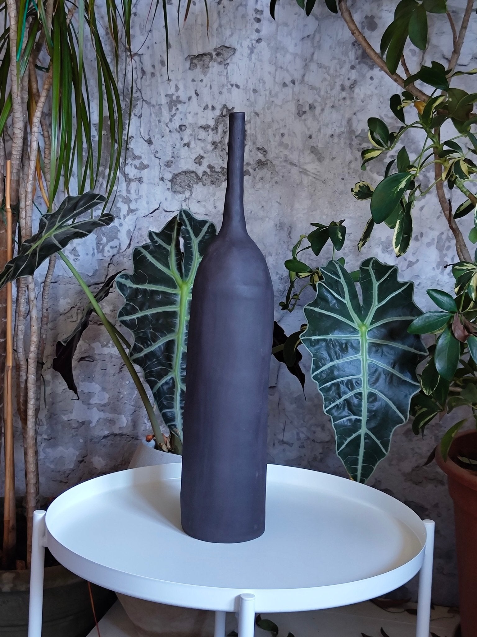 BOTORU NIGRA ALTA - Fashion Loft